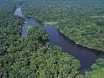 Tortuguero Tours