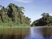 Tortuguero Tour